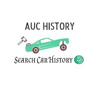 Auc History Logo Vin Remove - VINcut