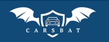 CarsBat Car History Delete 24hrs