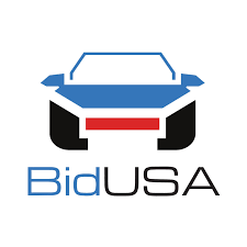 BidUSA.pl Logo Vin Remov - VINcut
