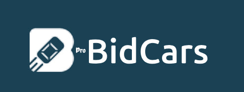 Bidcars.pro Vin History Removal - Vincut