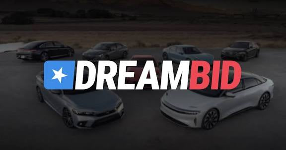 DreamBid.pl Website, VIN Removal - VINcut