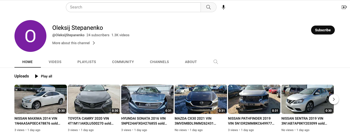 YouTube Channel Olksij - VINcut