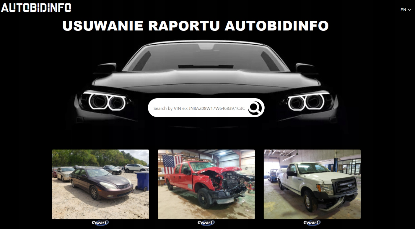 AutoBidInfo Homepage - VINcut