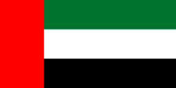 UAE Flag - VinCut