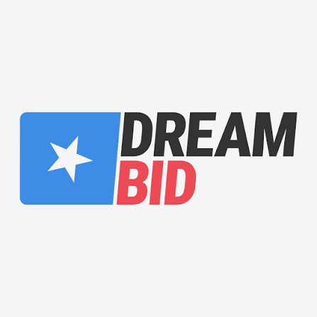 DreamBid.pl Logo, VIN Removal - VINcut