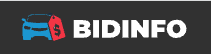 BIDINFO APP Logo - VINcut
