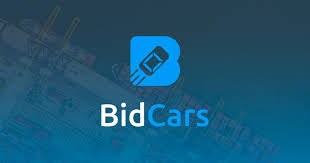 BidCars Logo - VINcut
