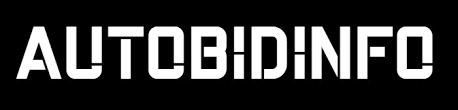 AutoBidInfo Black and White Logo - VINcut