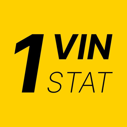 1VIN.STAT Logo - VINcut